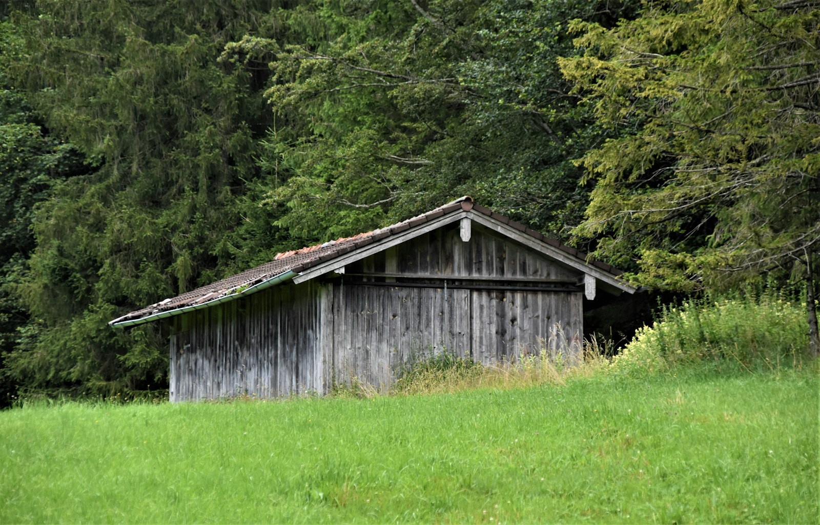 Edificio in legno — immagine demo